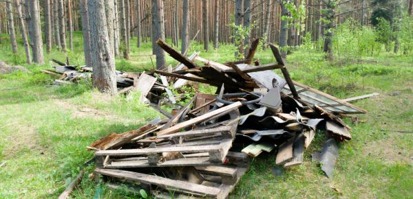 Debris Removal Service